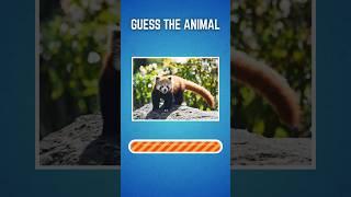 Can  You Guess All These Animals!  | Try This Fun Quiz!  #shorts #quiz