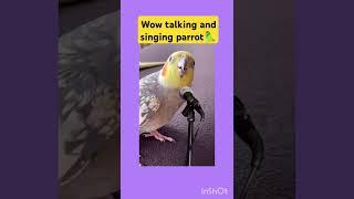 #music #trend #entertainment #youtubeshorts #talkingparrot #birds