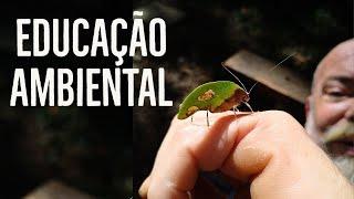 DIA MUNDIAL DA EDUCAÇÃO AMBIENTAL