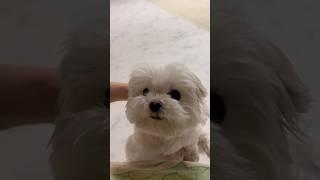 고백받았꿍