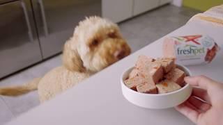 Healthy Meals Happy Dogs | Freshpet UK Commercial :30