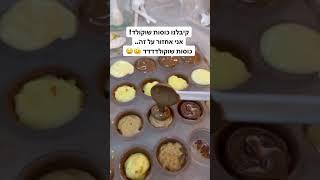 סדנאות - יער הקקאו