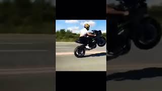 Kawasaki Ninja Insane wheele 