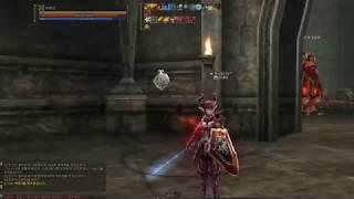 Lineage 2 Classic | Berserber Soul trigger