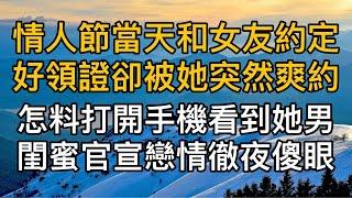 “那我們這些年又算什麼！”情人節當天和女友約定好領證卻被她突然爽約，怎料打開手機看到她男閨蜜官宣戀情徹夜傻眼！真實故事 ｜都市男女｜情感｜男閨蜜｜妻子出軌｜楓林情感