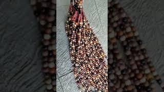 Rp. 45.000,- TASBIH KOMBINASI 7 KAYU LANGKA 99 BIJI 8 MM || WA 08123489038 #shorts #handicraft