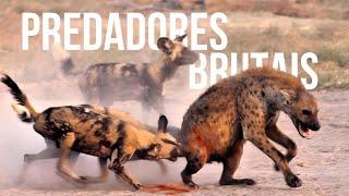 BRUTAL PREDATORS | FULL DOCUMENTARY | WILDLIFE | ANIMAL WORLD