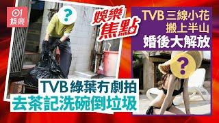 TVB綠葉冇工開做侍應洗碗倒垃圾｜TVB小花嫁豪門後更性感｜一代性感女神甘做陳百祥二奶｜TVB前小生減老婆家用｜麥美恩｜林峯｜譚輝智｜關嘉敏｜譚詠麟｜林明禎｜呂爵安｜11月25日娛樂新聞 #今日娛樂