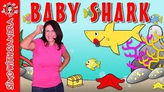 Baby Shark | Children's Songs | Nursery Rhymes | Music For Kids | Sing With Sandra