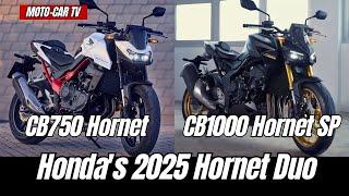 Honda's 2025 Hornet Duo: A New Era of Streetfighter Excitement | MOTO-CAR TV