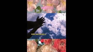  灵性科学：探索宇宙奥秘  律法与灵魂灵性
