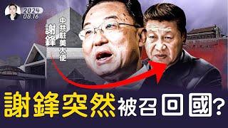 北戴河會議「內部運作」曝光！矢板：恰如黑幫決議過程！習近平權力確受挑戰，黨媒“含習量”降低如同毛當年遭遇；中共駐美大使謝鋒剛吹捧完“熊貓外交”，就突然回國？上海企業家指高層動向不尋常｜大宇拍案驚奇