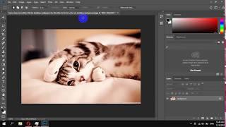 How To Enable & Disable Align UI To OS Settings in Photoshop