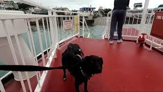 Strangford - Portaferry  Ferry Crossing 16th October 2023