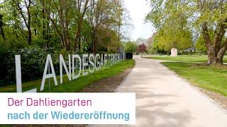 Der Dahliengarten nach der Wiedereröffnung