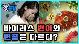 바이러스의 변이와 변종 / YTN 사이언스