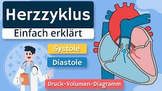 Herzzyklus - Systole, Diastole und Druck-Volumen-Diagramm einfach erklärt