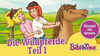 Bibi und Tina: Die Wildpferde - Teil 1 (Folge 13) | Hörspiel des Monats das ZWEITPLATZIERTE Mai