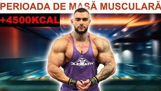 Am început perioada de masa musculară 