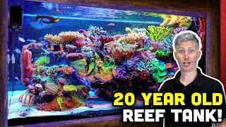 20 YEAR OLD Reef Tank! Keys to a Mature and HEALTHY Reef Tank!