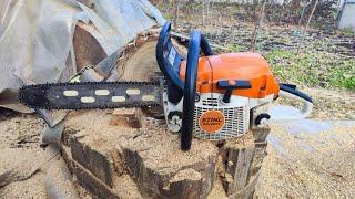 Am stricat-o?  Stihl ms 261 Mtronic Woodsported @Ionut puescu