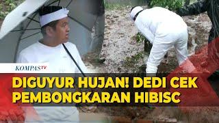 Diguyur Hujan! Gubernur Jabar Dedi Mulyadi Cek Progres Pembongkaran Tempat Wisata Hibisc Puncak