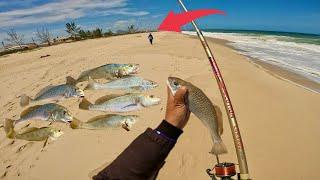 Como Usar Diferentes Iscas na Pescaria de Praia para Pegar Muito Peixe!