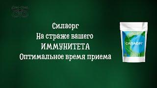 Силаорг | На страже вашего ИММУНИТЕТА | Оптимальное время приема - компания Сово-Сова