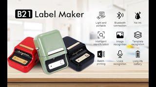 NIIMBOT B21 Wireless Bluetooth Label Printer Operation Guide - NIIMBOT Singapore