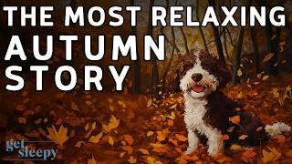 The PERFECT Autumn Story  Truffle Hunting in Piedmont | Relaxing Sleepy Story