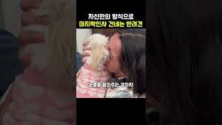 자신만의 방식으로 마지막인사를 건네는 반려견들
