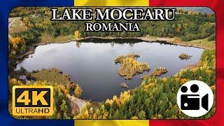 4K Scenic Drive to Mocearu Lake | Romania | Buzau County | From Scortoasa to Mocearu