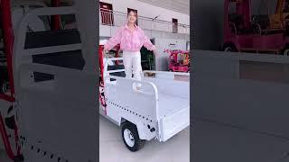 M10 four-wheeler with bucket #Electric vehicle export #Export foreign trade order