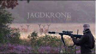 Sauen Damwild Drückjagd & mehr | Jagd Abenteuer - Jagdkrone Kanal Teaser