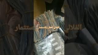 الفلالي للعقار والاستثمار #المغرب #السعودية_الرياض_الكويت_قطر_عمان_الاردن_الامارات