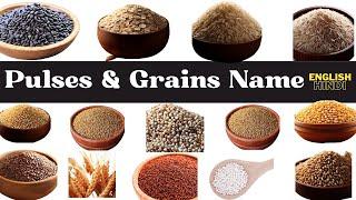 Pulses and Grains name in english and hindi with pictures  | अनाजों के नाम इंग्लिश और हिंदी में