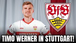 TRANSFER-COUP: WERNER sagt JA zum VfB | stuttgart fc nachrichten