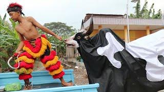 film pendek | GAWAT BANTENGAN SAPI MBEROT GALAK LEPAS!! satu kampung kabur semua [ Ngakak poll ]