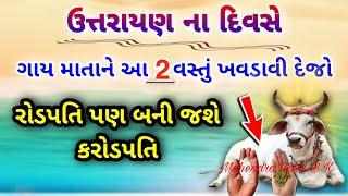 ઉત્તરાયણ ના દિવસે ગાયને આ બે  વસ્તું ખવડાવી દો | Vastu tips | Vastu Shastra | Uttrayan 2025