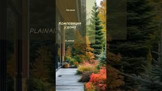 Готовая композиция для сада. Простой миксбордер #ландшафтныйдизайн #дача #загородныйдом #сад