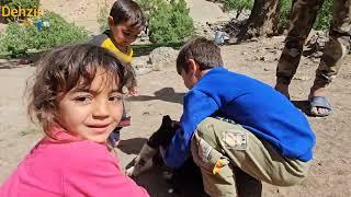Traces of kindness in the mountains; when Ali and Agha Qorboun visited the nomads