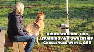 Understanding Dog Training and Ownership Challenges with a GSD  - 1:1 With Professional Dog Trainer