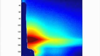 In situ SAXS of carbon nanotube nucleation and self-organization
