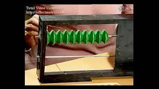 小学一年级上数学22（10的认识）
