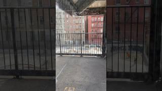 New York Subway Train Ride Adventure#ny #nyc #nyclife #newyork #newyorkcity #nycvlog