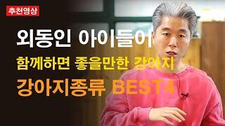 외동(혼자인아이)인 아이가 함께하면 좋을만한 강아지종류 BEST4 입양?