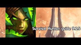 Quick Survival Hunter Rotation guide | WoW 9.2.5