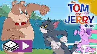 The Tom and Jerry Show | Tom's New Girlfriend | Boomerang UK 