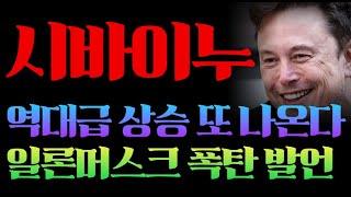 [시바이누 코인] 시바이누 역대급 랠리 또 터진다! 일론머스크 폭탄 발언 #시바이누코인 #시바이누분석 #시바이누대응 #시바이누전략 #시바이누목표가