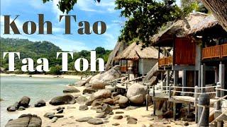 Paradise! Taa Toh Lagoon + Shark Bay, Freedom Beach + more! Koh Tao Thailand 2021